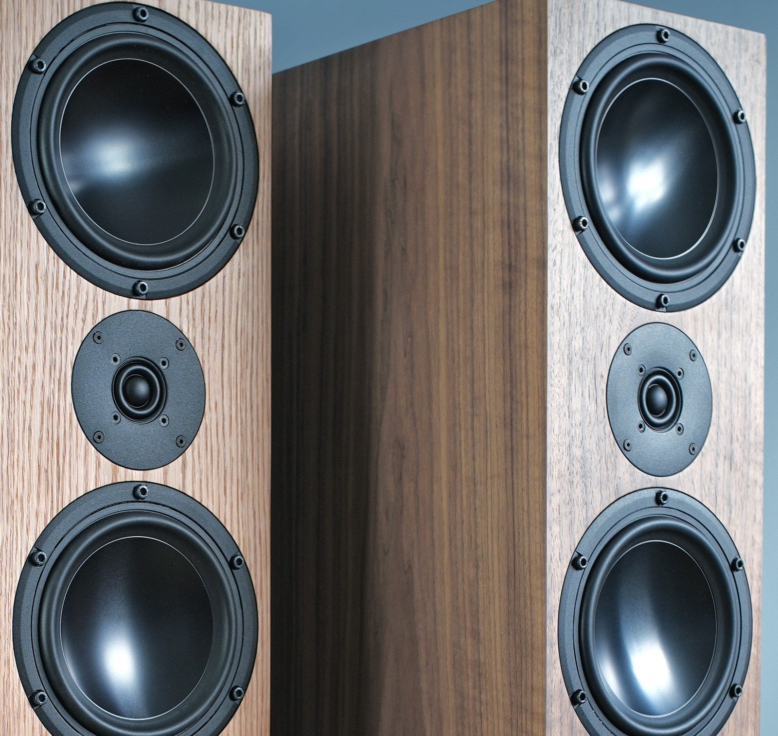 Ophidian Skye walnut diffusori da pavimento 2 vie