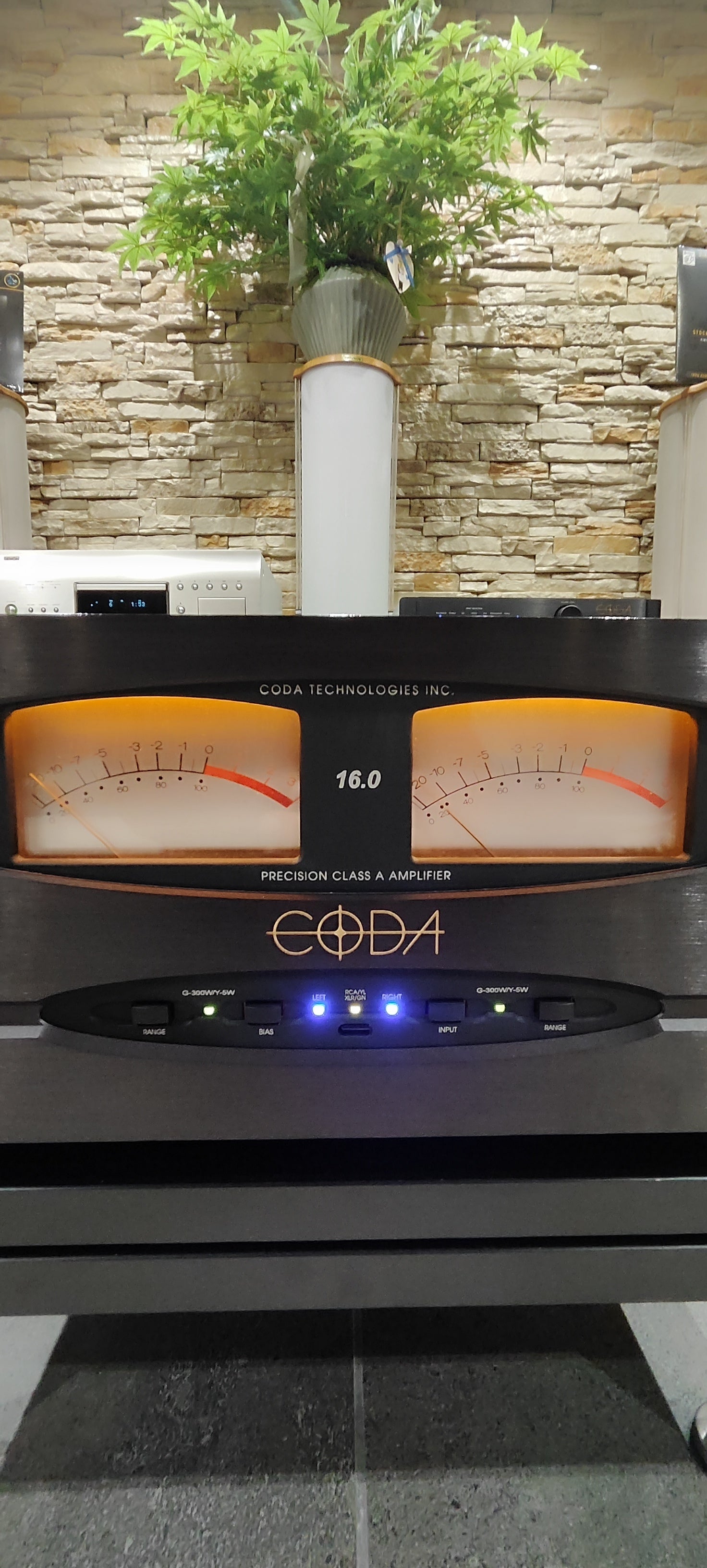 Coda Technologies mod. S 16.0 FINALE di potenza 2x100 watt in pura classe A