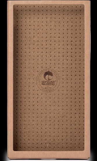 Astell&Kern PD10+Cradle lettore dap TOP