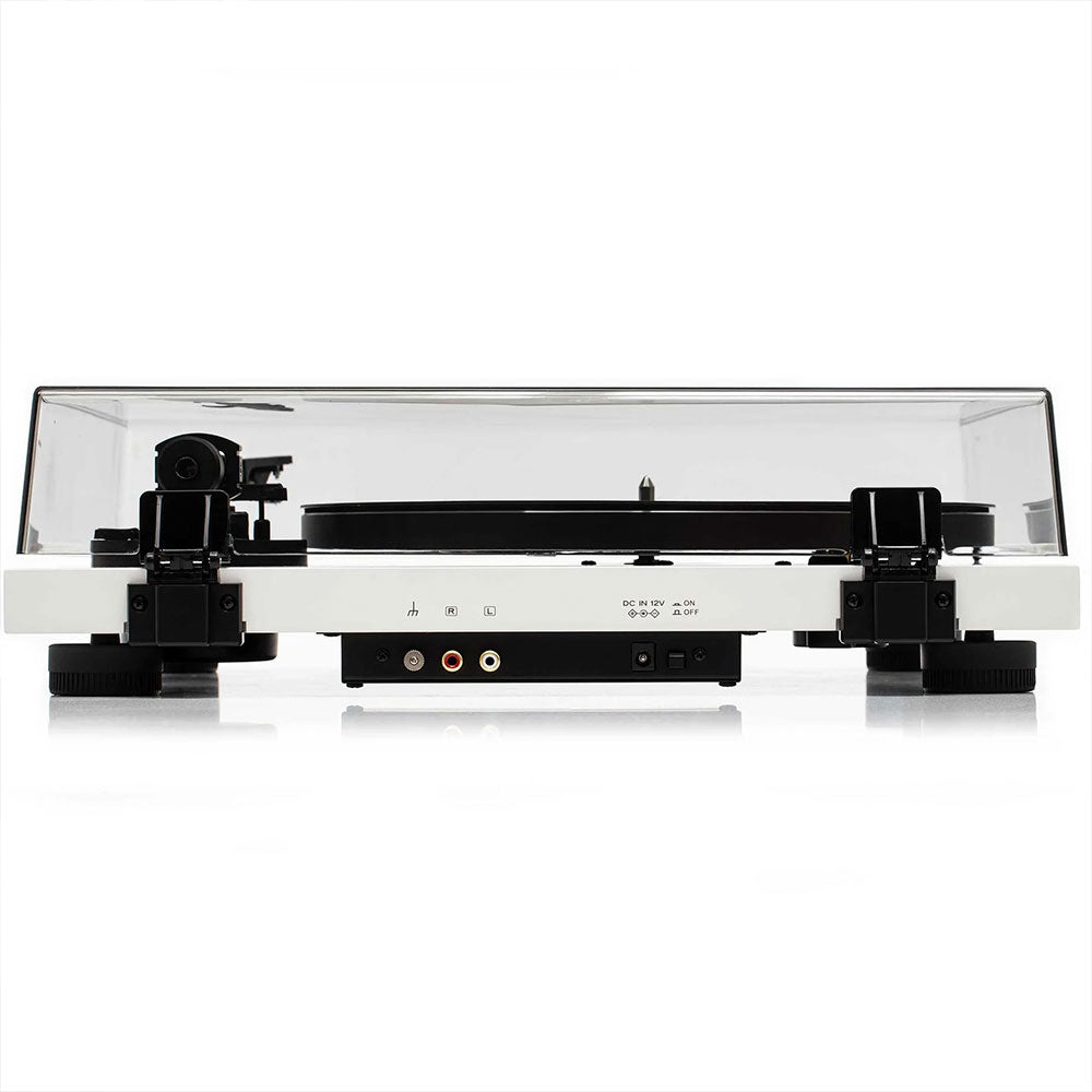 Argon Audio TT-3 frassino giradischi a cinghia testina ortofon