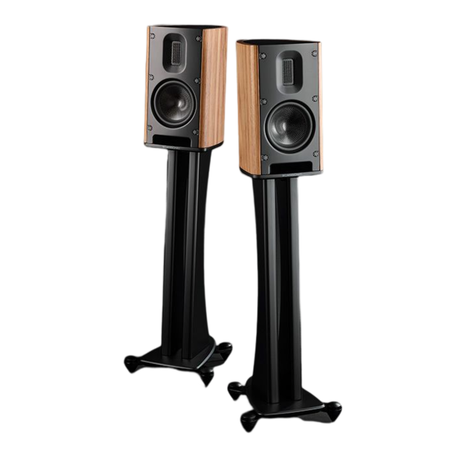 Scansonic MB1B noce diffusori 2 vie da scaffale
