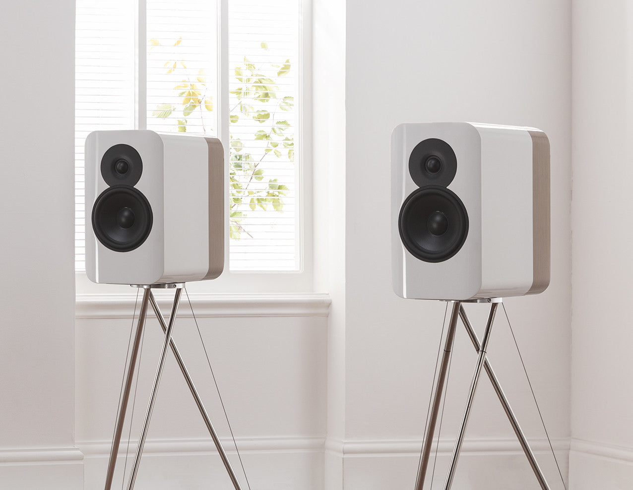 Q Acoustics concept 300 nero-palissandro diffusori 2 vie + stand tensegrity