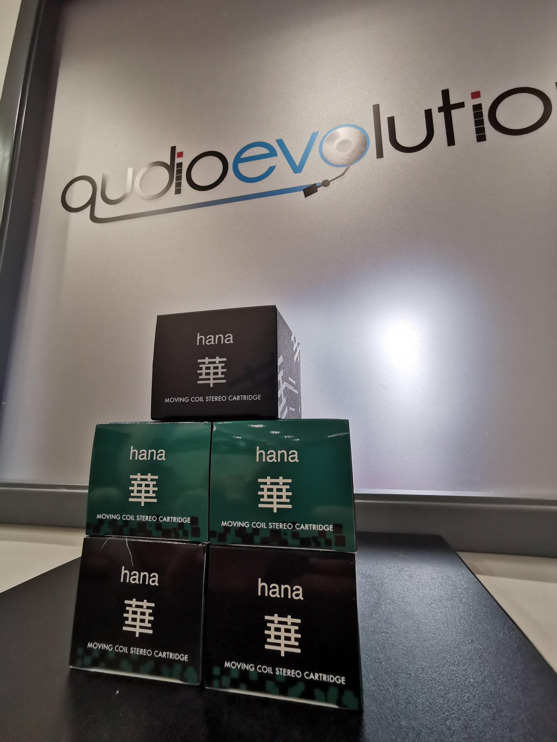 Le Testina HANA Made in Japan