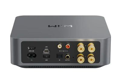 Wiim amp pro amplificatore 2x120 watt con DAC ESS 9038Q2M