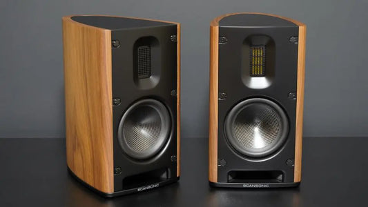 Scansonic MB1B noce diffusori 2 vie da scaffale