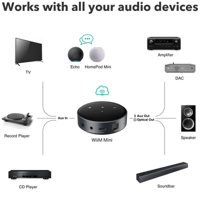 WiiM Mini streamer audio Airplay 2 wifi bt alexa