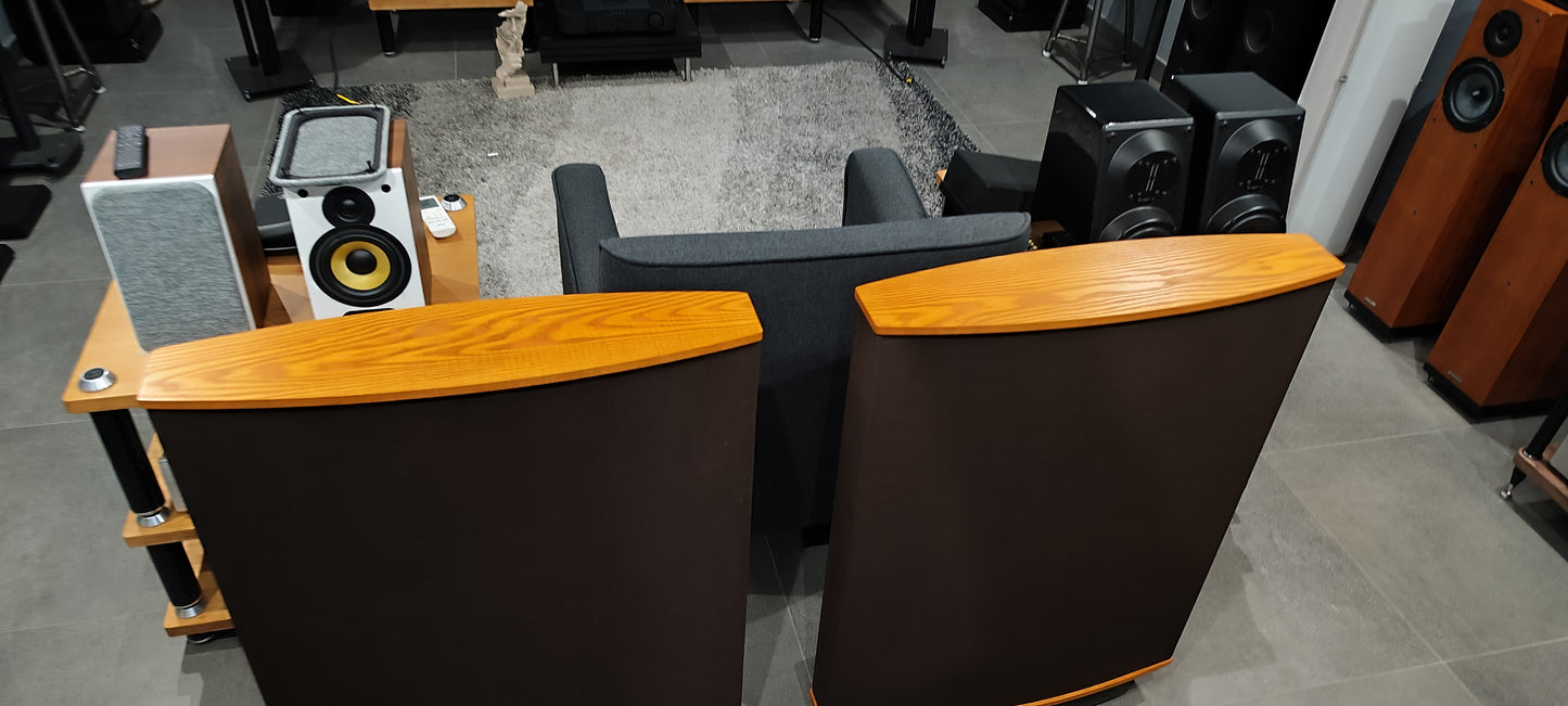 Quad ESL63 con stand e imballi originali usate