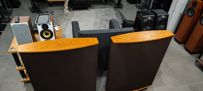 Quad ESL63 con stand e imballi originali usate