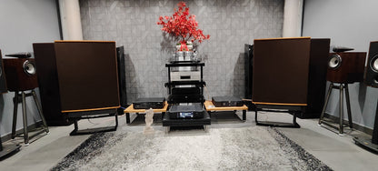 Quad ESL63 con stand e imballi originali usate