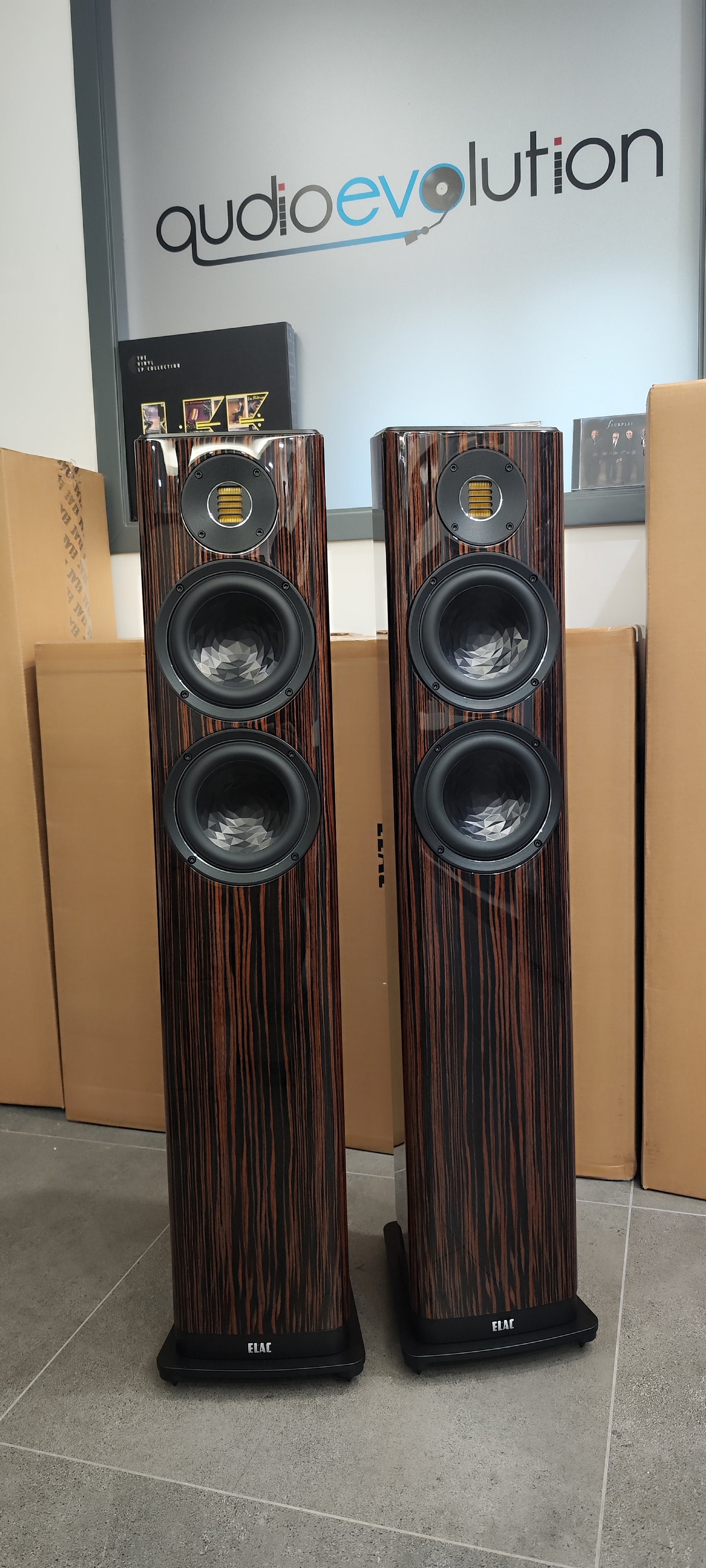 Elac Vela FS 407.2 makassar diffusori da pavimento 2,5 vie