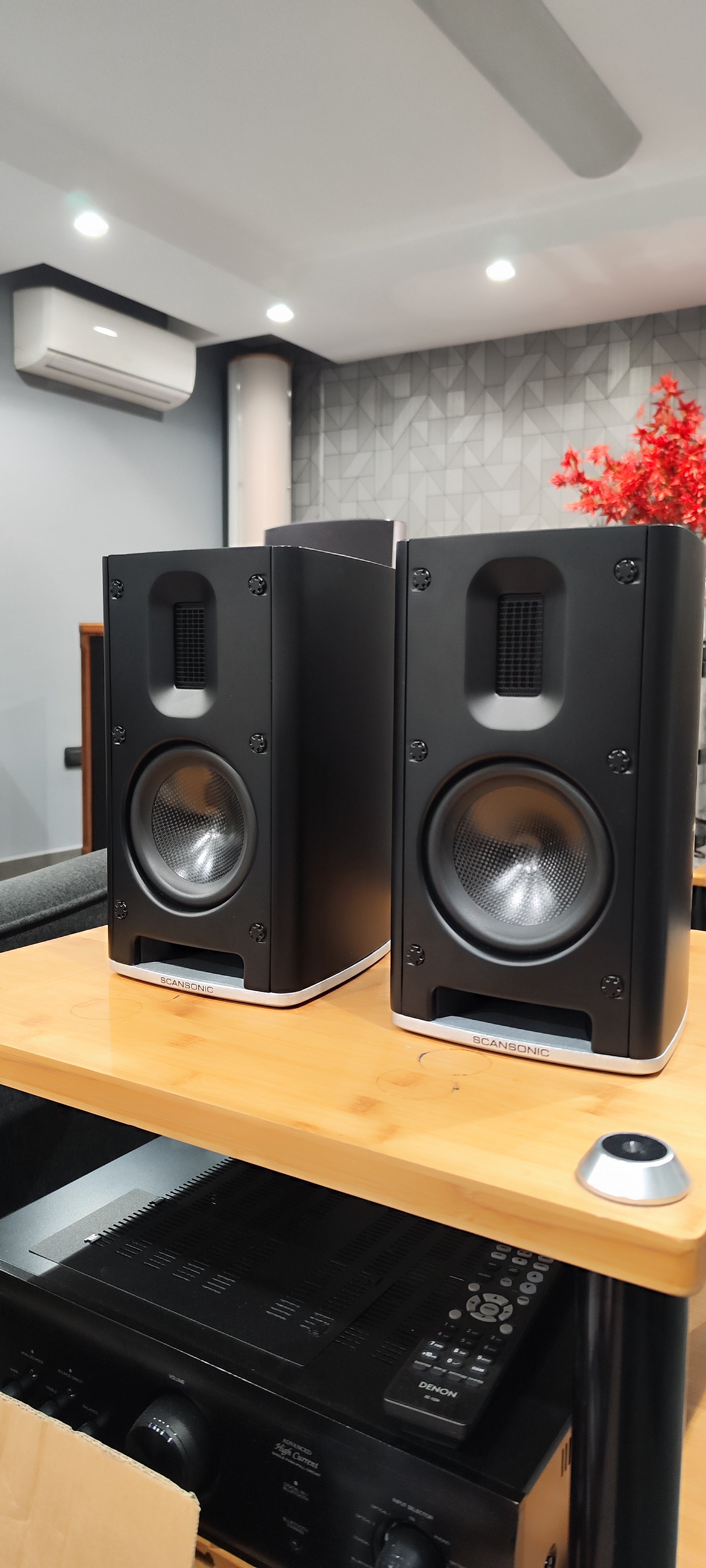 Scansonic MB1 B diffusori 2 vie made in denmark ex-demo