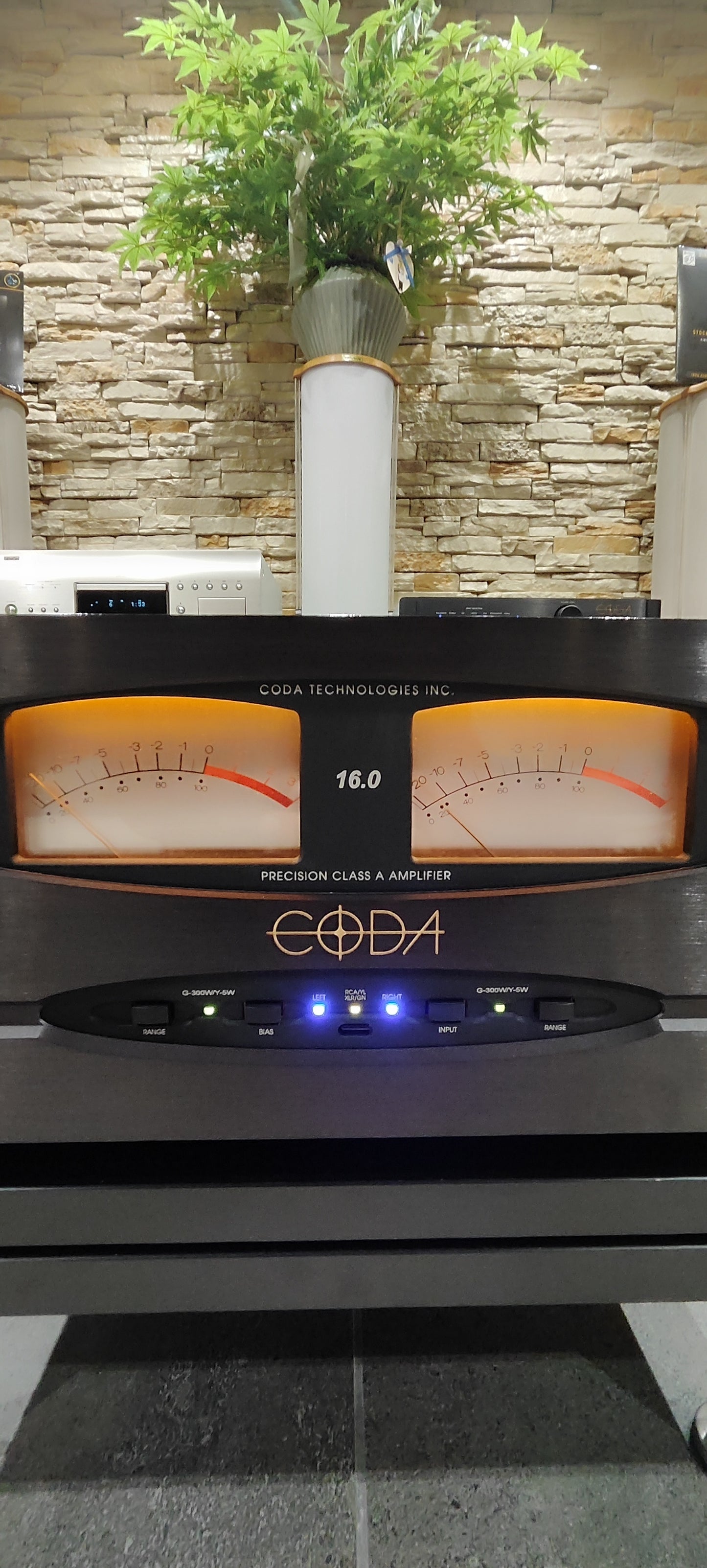 Coda Technologies mod. S 16.0 FINALE di potenza 2x100 watt in pura classe A