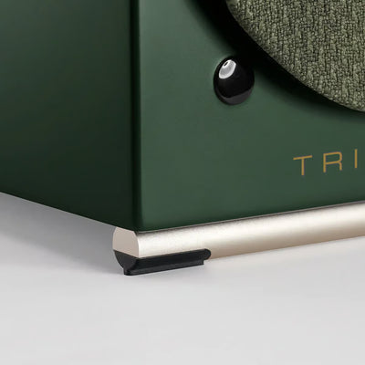 Triangle AIO Twin english green Coppia diffusori attivi Wi-Fi, Bluetooth 5.0