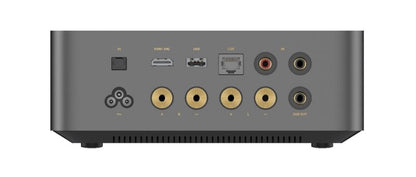 Wiim Amp Ultra grey amplificatore 2 canali con streamer incorporato