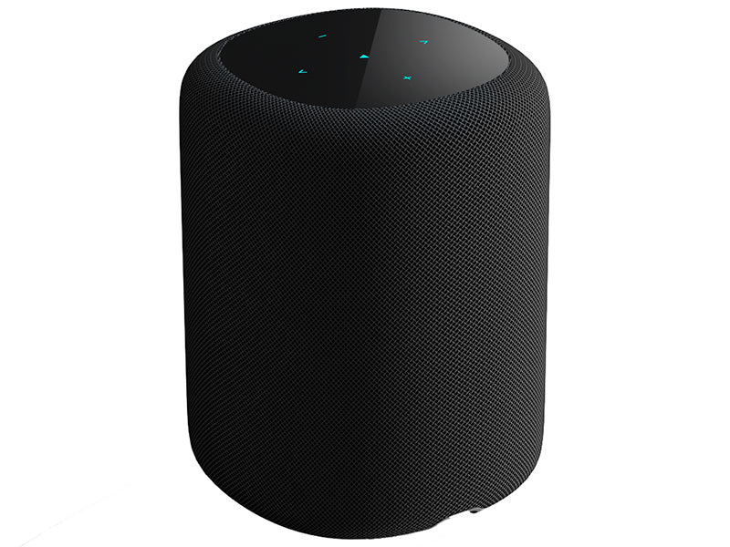 WiiM Sound Diffusore attivo smart wireless 2 vie