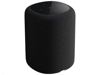 WiiM Sound Diffusore attivo smart wireless 2 vie