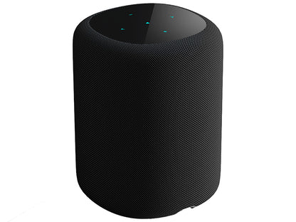 WiiM Sound Diffusore attivo smart wireless 2 vie
