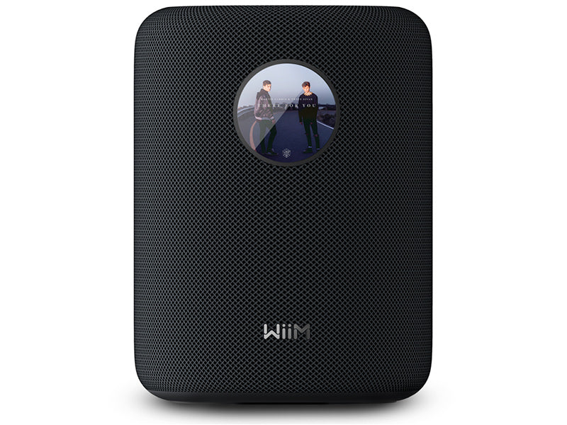 WiiM Sound Diffusore attivo smart wireless 2 vie