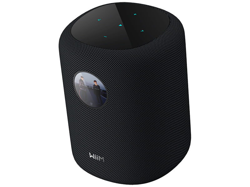 WiiM Sound Diffusore attivo smart wireless 2 vie