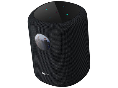 WiiM Sound Diffusore attivo smart wireless 2 vie