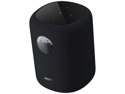 WiiM Sound Diffusore attivo smart wireless 2 vie
