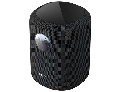 WiiM Sound Diffusore attivo smart wireless 2 vie