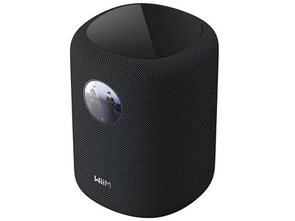 WiiM Sound Diffusore attivo smart wireless 2 vie