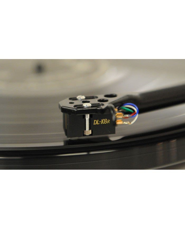 DENON DL103R DL 103R DL-103R FONORIVELATORE MC SIGILLATO GARANZIA UFFICIALE ITALIA