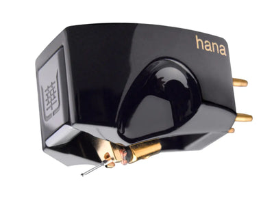 Hana Umami Black Testina a bobina mobile a bassa uscita