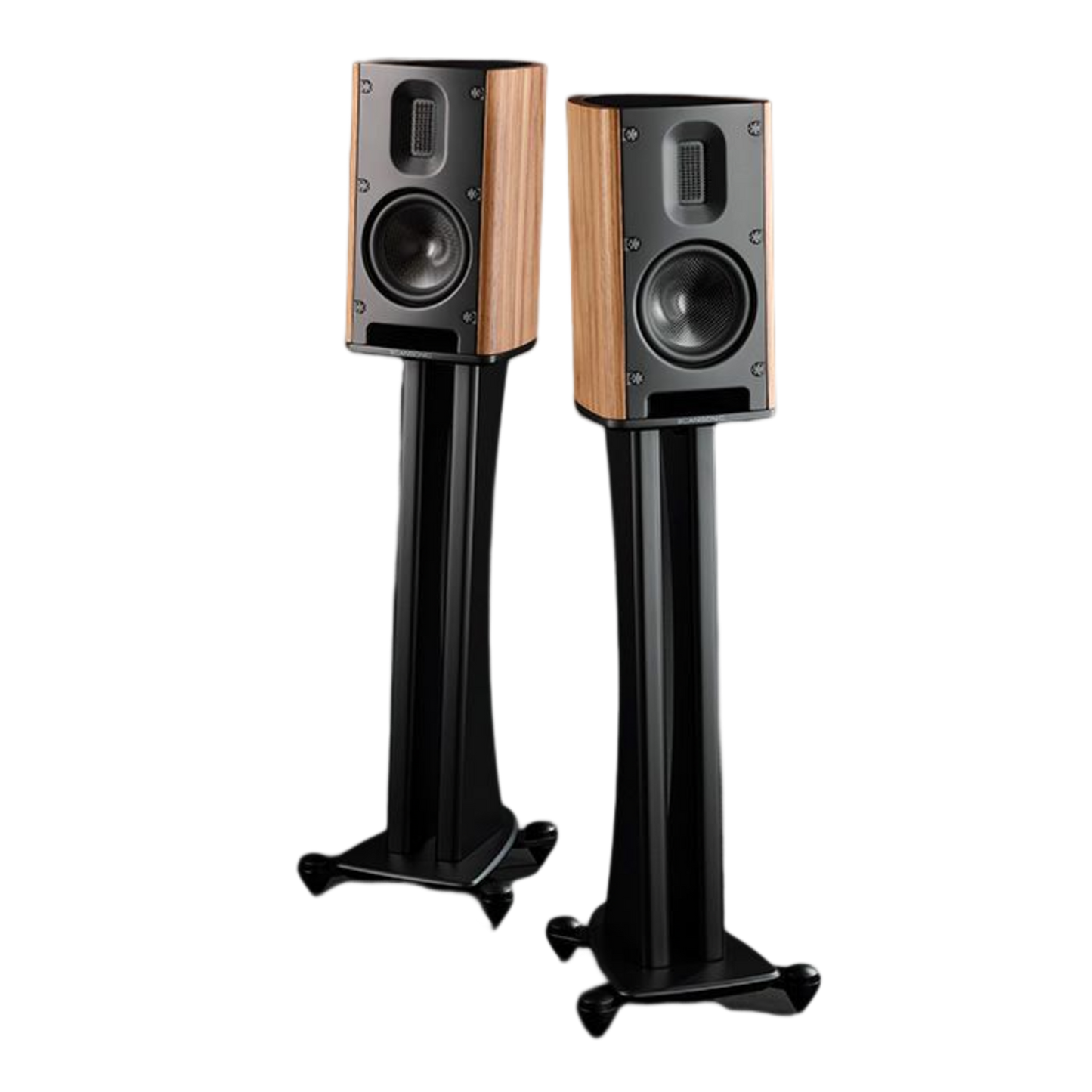 Scansonic MB1B noce diffusori 2 vie da scaffale