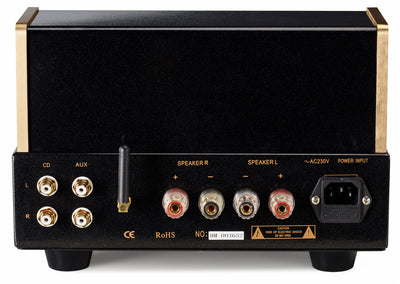 Pier Audio MS84SE integrato valvolare CON EL84 EX-DEMO
