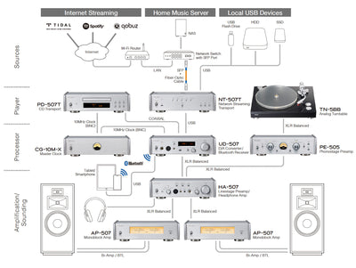 Teac NT-507T silver network transport senza DAC Hi-End