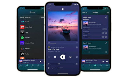 Wiim ultra preamplificatore streamer dac con chip ESS9038Q2M