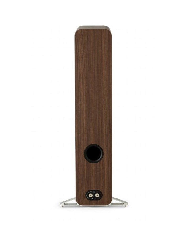 Q Acoustics 5040 Santos Rosenwood diffusori da pavimento