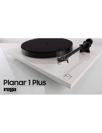 REGA PLANAR 1 PLUS BIANCO GIRADISCHI FONO INTEGRATO E CAPPA NUOVO GARANZIA ITALIA