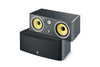 Focal aria CC 900 k2 canale centrale  tweeter TNF 40-200 W